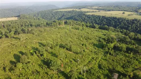 166 Acres Hwy 377, Marshall, AR 72650 photo 23