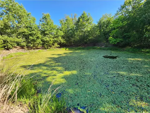 1221 Madison 6261, Wesley, AR 72773 photo 23