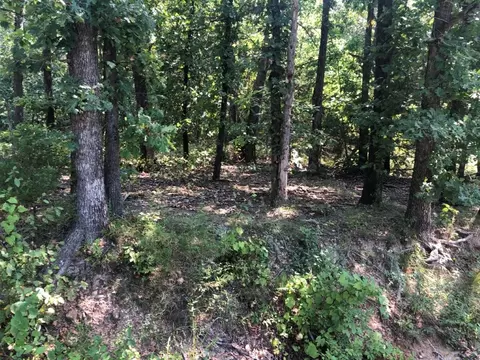 lot32 Belgravia Dr, Bella Vista, AR 72715