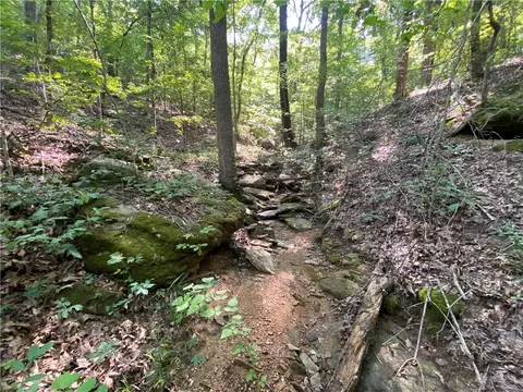 Nc 8050, Jasper, AR 72641 photo 8