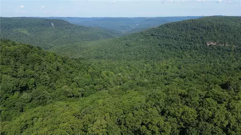 Nc 8050, Jasper, AR 72641 photo 11