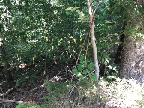 lot9 Cawood Dr, Bella Vista, AR 72714