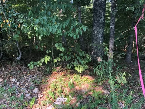 lot21 Egton Dr, Bella Vista, AR 72714