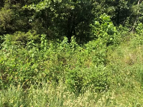 lot19 Lockhart Ln, Bella Vista, AR 72715