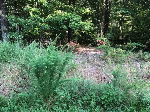lot6 Lockton Dr, Bella Vista, AR 72714