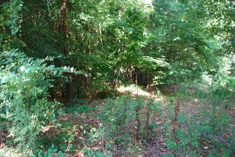 lot5 Neffwood Ln, Bella Vista, AR 72715