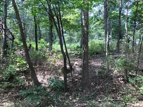 lot23 Block 2 Armitage Dr, Bella Vista, AR 72715