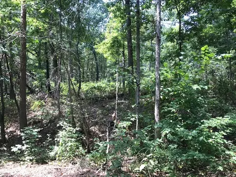 lot23 Block 2 Armitage Dr, Bella Vista, AR 72715