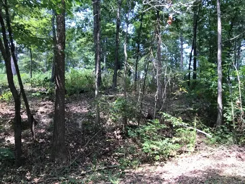 lot23 Block 2 Armitage Dr, Bella Vista, AR 72715