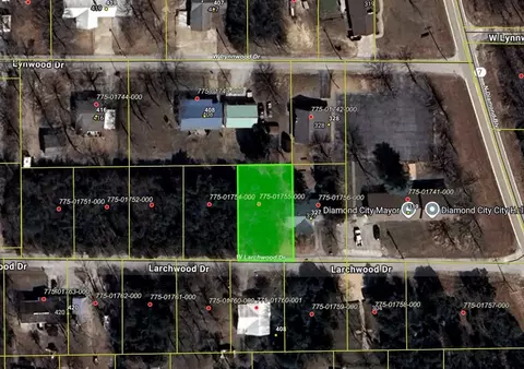 775-01755 000 Larchwood Dr, Diamond City, AR 72644