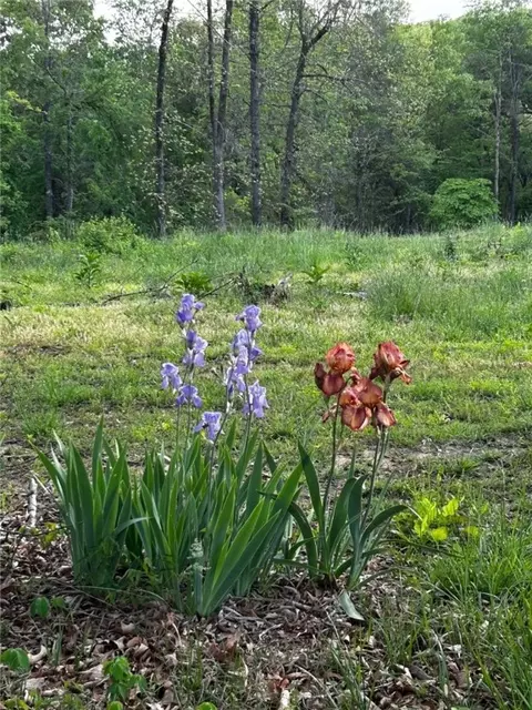 Other - 1611 May Ln # A, Harrison, AR 72601 photo 20 of 23