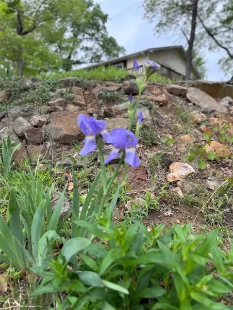 Other - 1611 May Ln # A, Harrison, AR 72601 photo 23 of 23