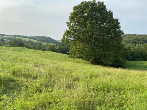 tbd Madison 8500 Rd, Hindsville, AR 72738