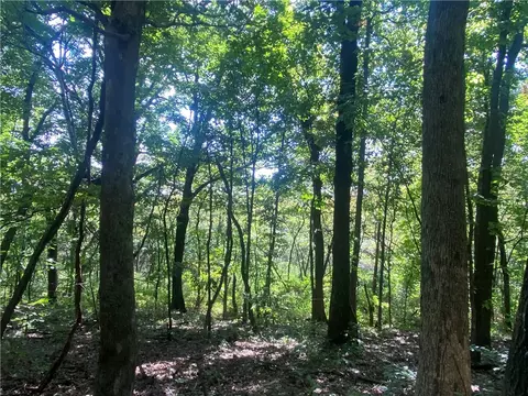 3491 Madison 5440, Combs, AR 72721 photo 16