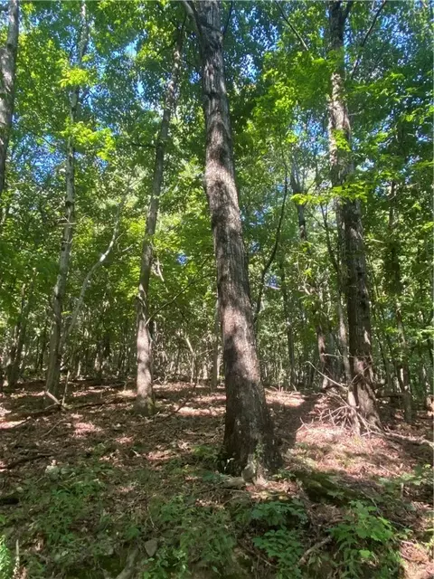 3491 Madison 5440, Combs, AR 72721 photo 14