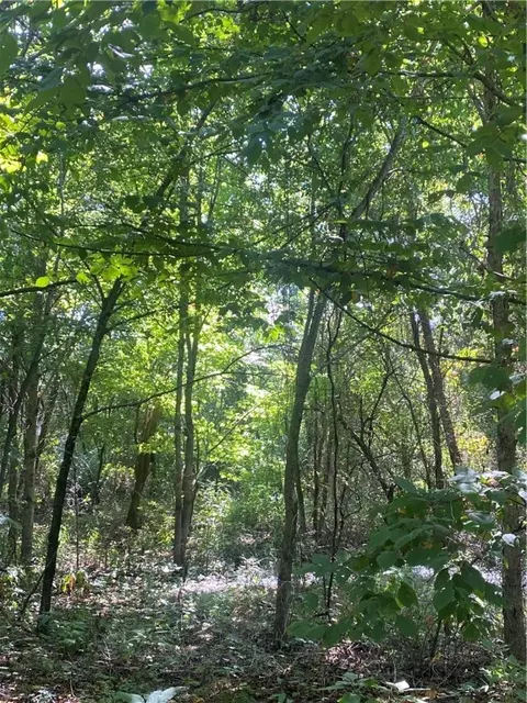 3491 Madison 5440, Combs, AR 72721 photo 19