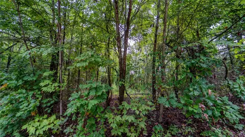 3491 Madison 5440, Combs, AR 72721 photo 21
