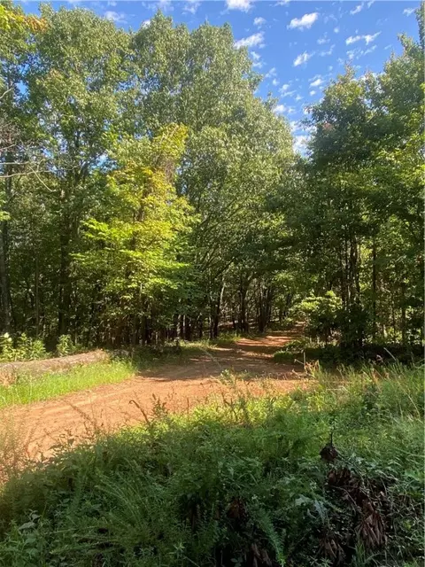 3491 Madison 5440, Combs, AR 72721 photo 11