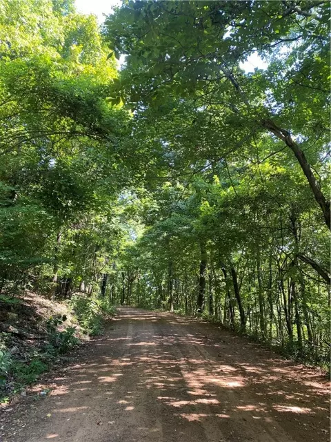 3491 Madison 5440, Combs, AR 72721 photo 13