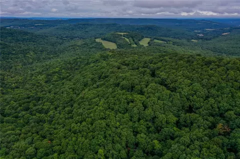 3491 Madison 5440, Combs, AR 72721 photo 8
