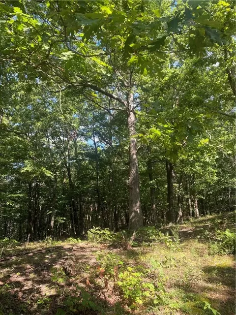 3491 Madison 5440, Combs, AR 72721 photo 18