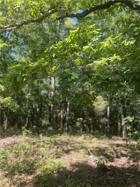 3491 Madison 5440, Combs, AR 72721 photo 17