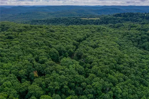 3491 Madison 5440, Combs, AR 72721 photo 10