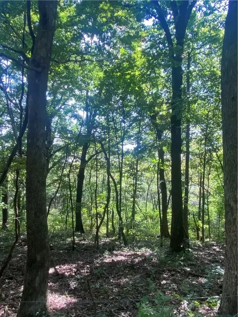 3491 Madison 5440, Combs, AR 72721 photo 15