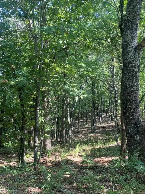 3491 Madison 5440, Combs, AR 72721 photo 20
