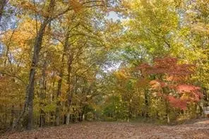 Queensferry Lane, Bella Vista, AR 72715