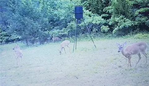8798 E Hwy 254 E Hwy, Clinton, AR 72629 photo 45