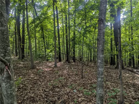 12 Selkirk Cir, Bella Vista, AR 72715
