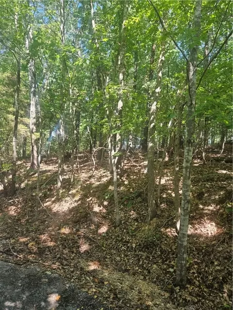 Selkirk Circle, Bella Vista, AR 72715