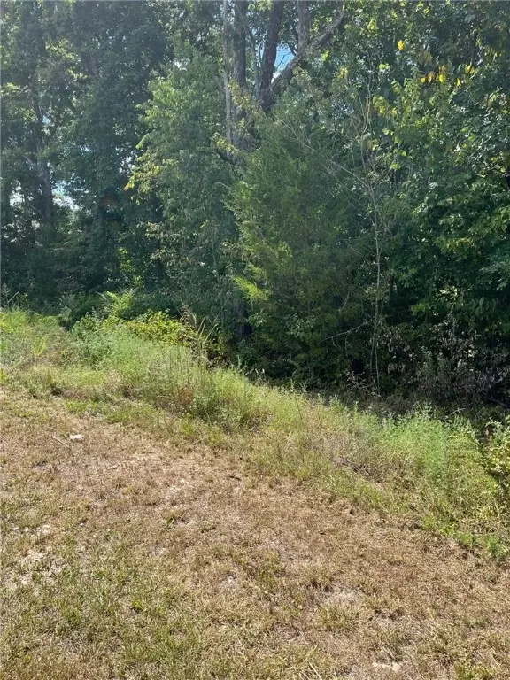  34 Bassingham Dr, Bella Vista, AR 72715 photo 2