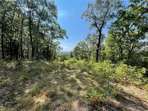 00 Nc Rd 4200, Western Grove, AR 72685