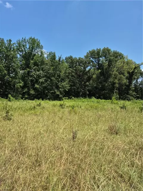 Track B N New Hope Road, Dardanelle, AR 72834