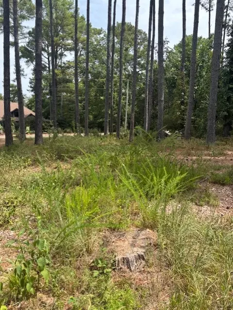 Skye Drive, Bella Vista, AR 72715