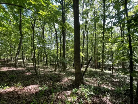 Browntown Road, Witts Springs, AR 72686