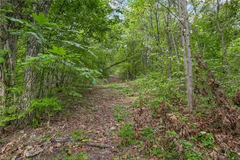 Nc 6026, Jasper, AR 72641 photo 14