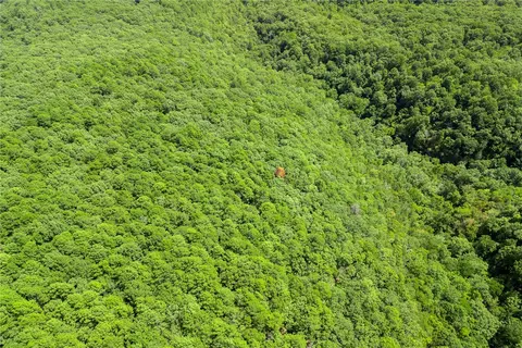 Nc 6026, Jasper, AR 72641 photo 22