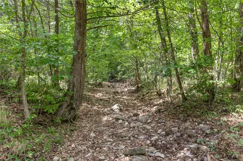 Nc 6026, Jasper, AR 72641 photo 16