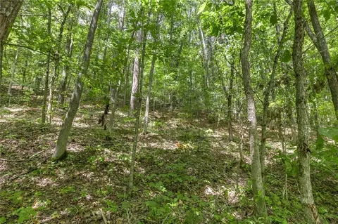 Nc 6026, Jasper, AR 72641 photo 10