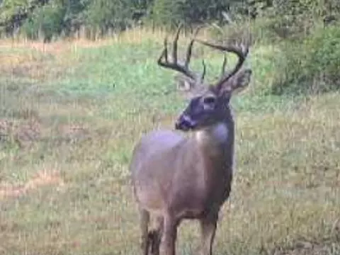 9969 Highway 23, Witter, AR 72776 photo 24