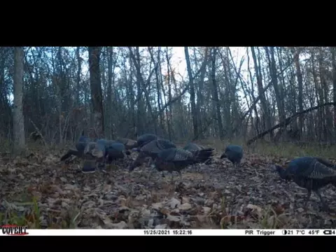 9969 Highway 23, Witter, AR 72776 photo 36