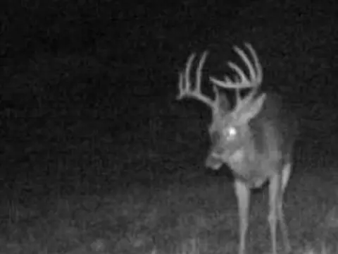 9969 Highway 23, Witter, AR 72776 photo 3