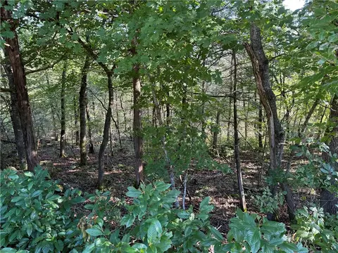 6 Puma Ln, Holiday Island, AR 72631