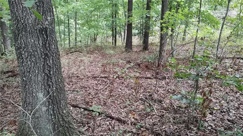 Tummell Drive, Bella Vista, AR 72715