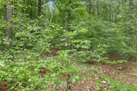 660 Labrador Ln, Western Grove, AR 72685 photo 21