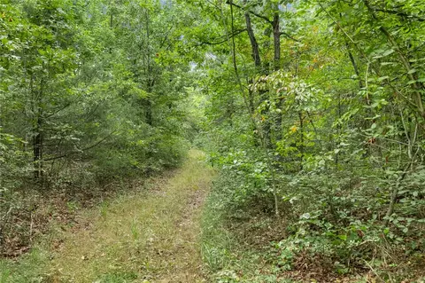 660 Labrador Ln, Western Grove, AR 72685 photo 17