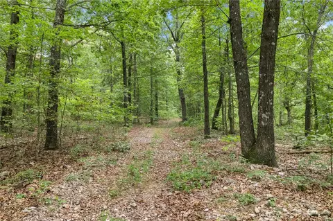 660 Labrador Ln, Western Grove, AR 72685 photo 19